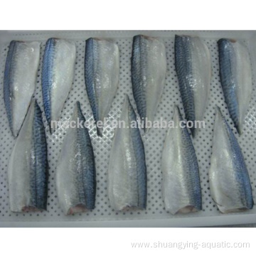 Chinese Export Frozen Pacific Mackerel Fillets